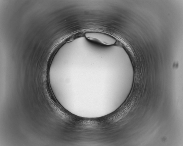 X0000098080437200805021025