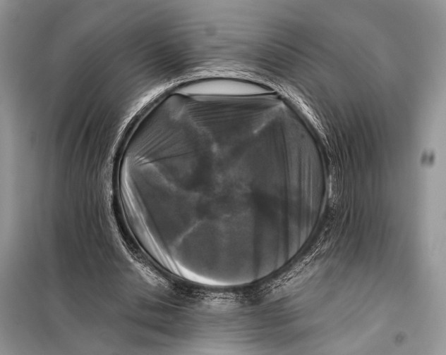 X0000098080438200805021025