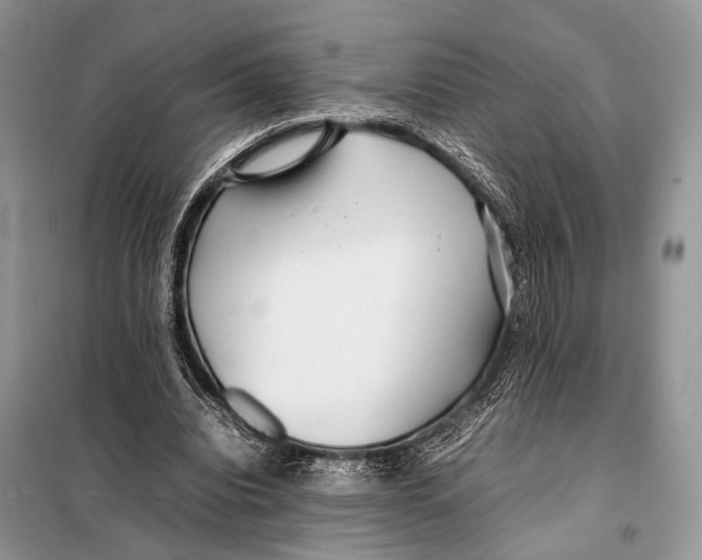 X0000098080440200805021025