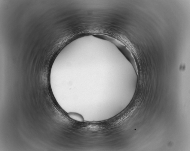 X0000098080441200805021025