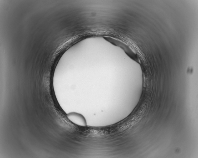 X0000098080442200805021025