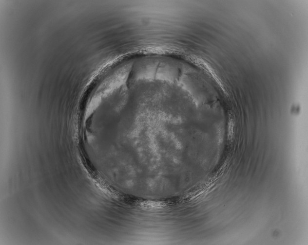 X0000098080444200805021025