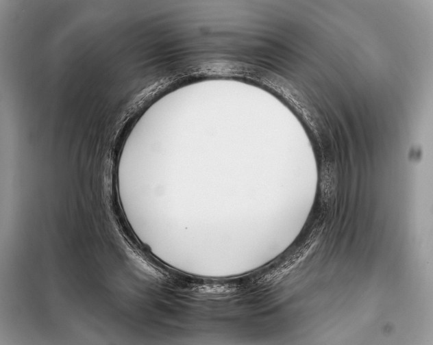 X0000098080445200805021025