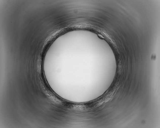 X0000098080446200805021025