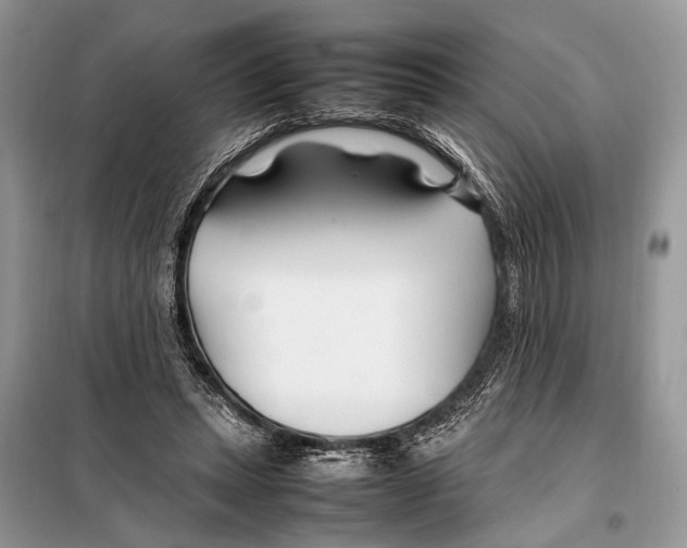 X0000098080447200805021025
