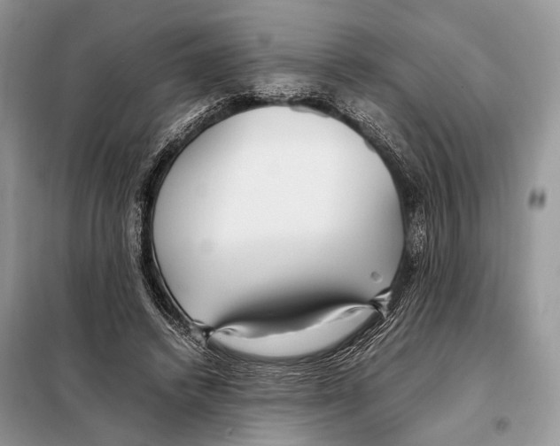 X0000098080448200805021025