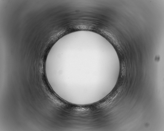 X0000098080453200805021026