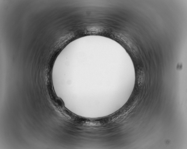 X0000098080455200805021026