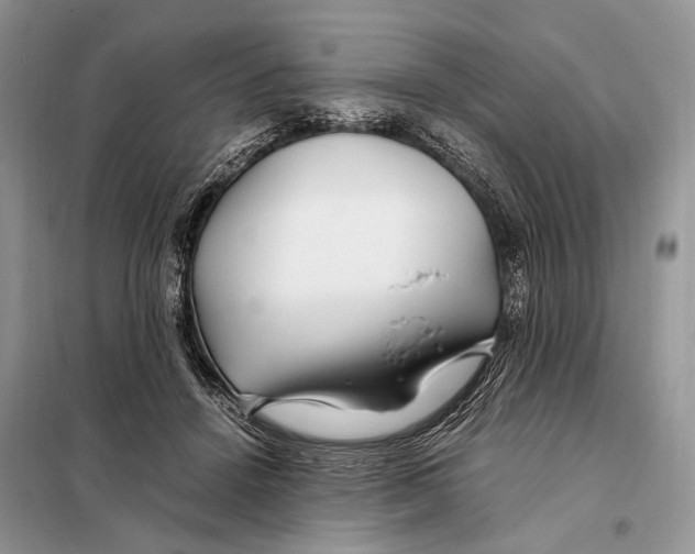 X0000098080456200805021026