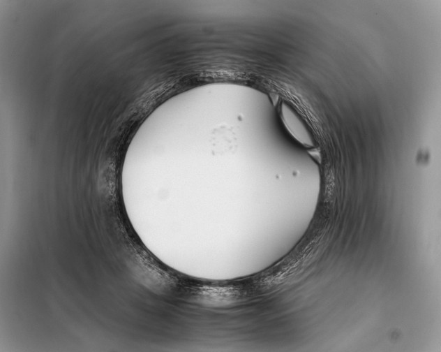 X0000098080457200805021026