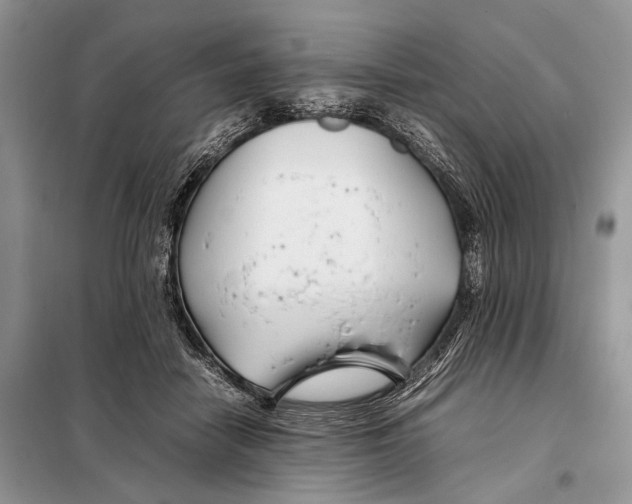 X0000098080458200805021026