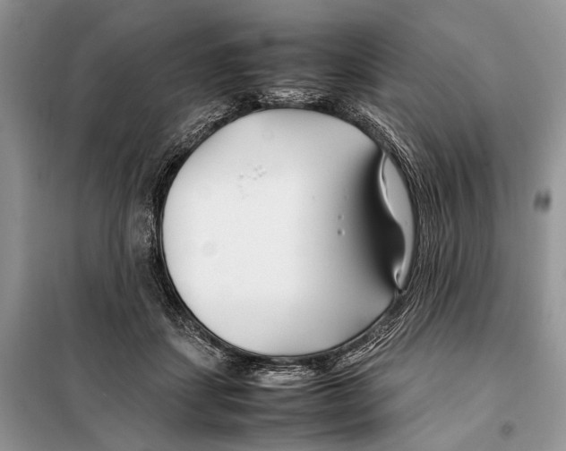 X0000098080459200805021026