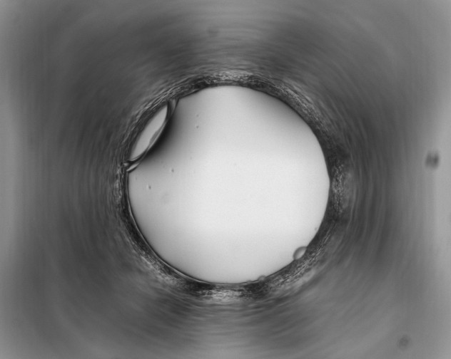 X0000098080462200805021026