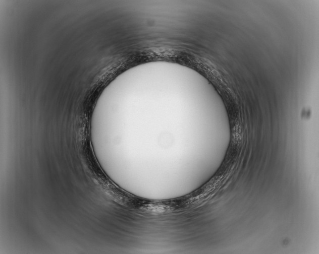 X0000098080464200805021026