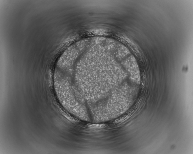 X0000098080465200805021026