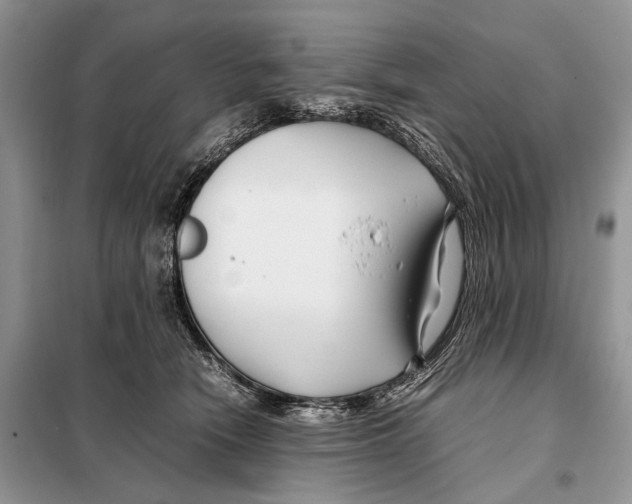 X0000098080466200805021026