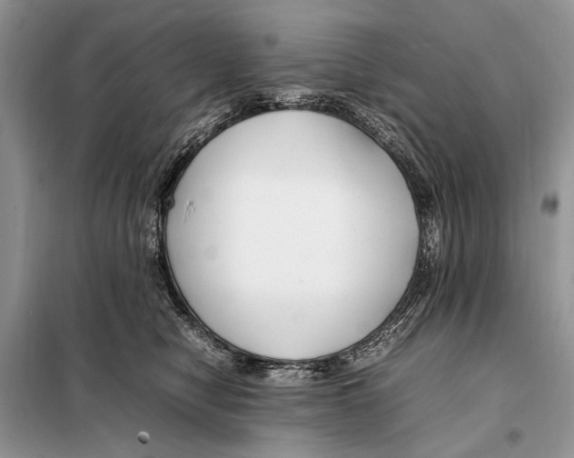 X0000098080470200805021026