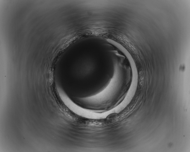 X0000098080471200805021026