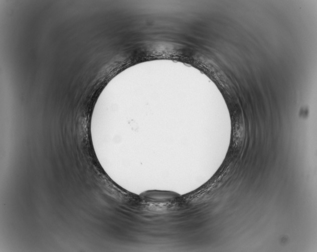 X0000098080473200805021026