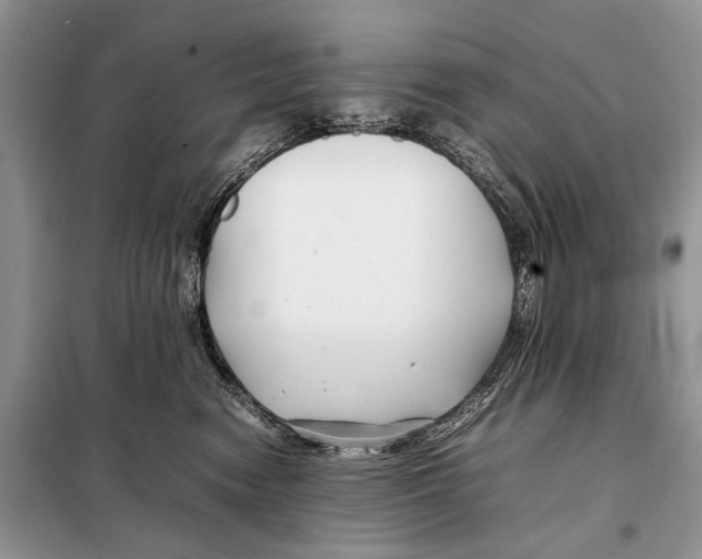 X0000098080474200805021026