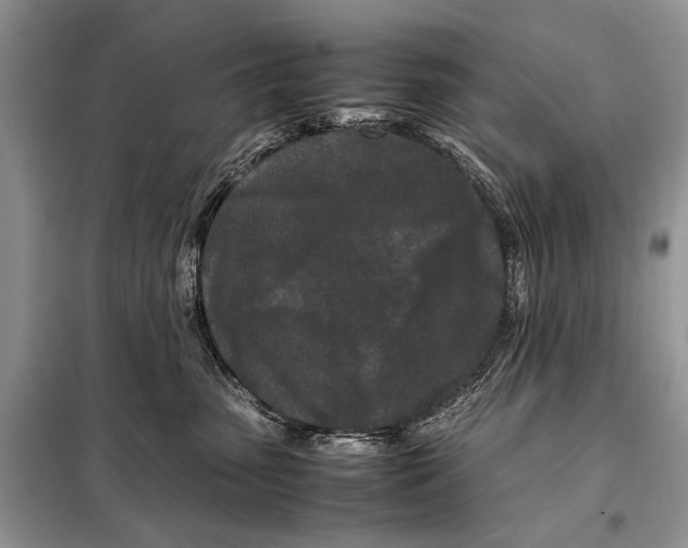 X0000098080475200805021026