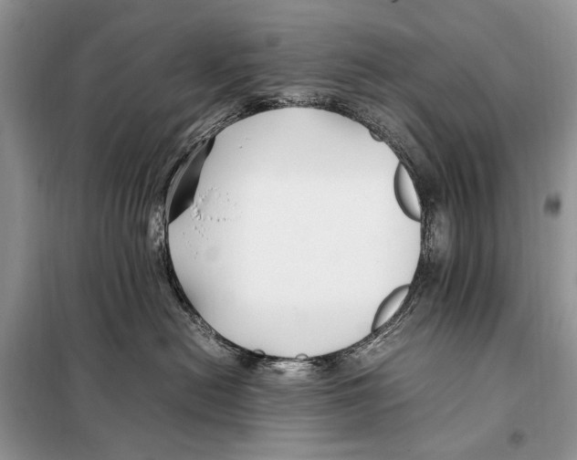 X0000098080478200805021026