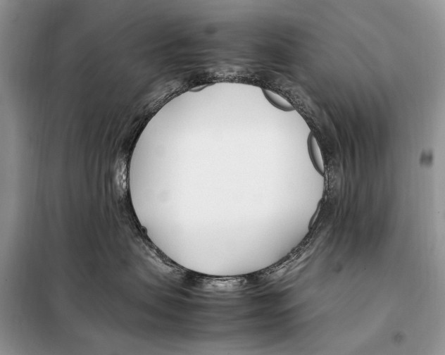 X0000098080479200805021026