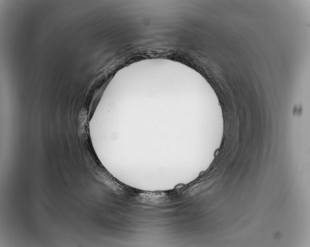 X0000098080480200805021026