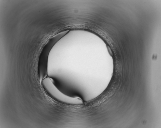 X0000098080481200805021025