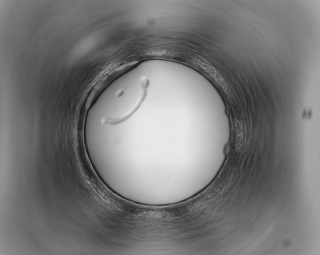 X0000098080482200805021025