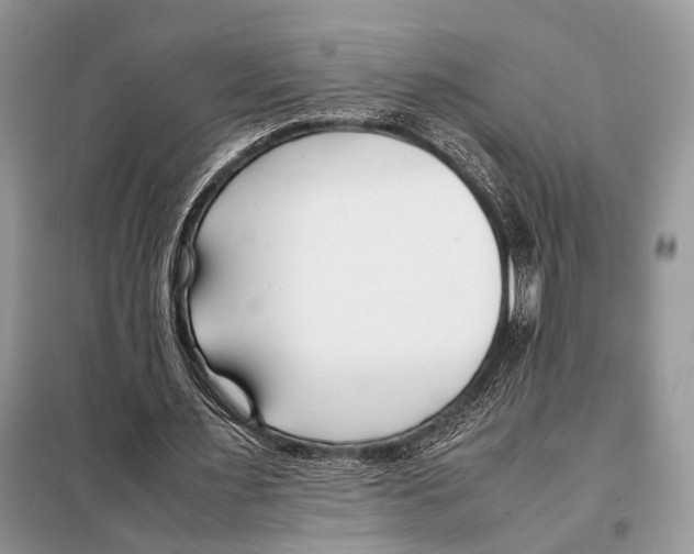 X0000098080483200805021025