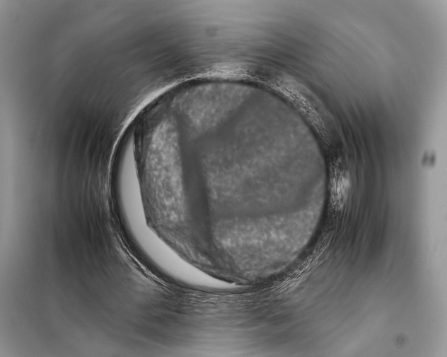 X0000098080484200805021025