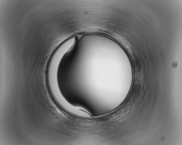 X0000098080485200805021025