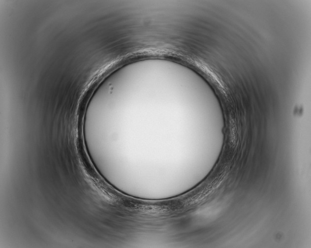 X0000098080486200805021025