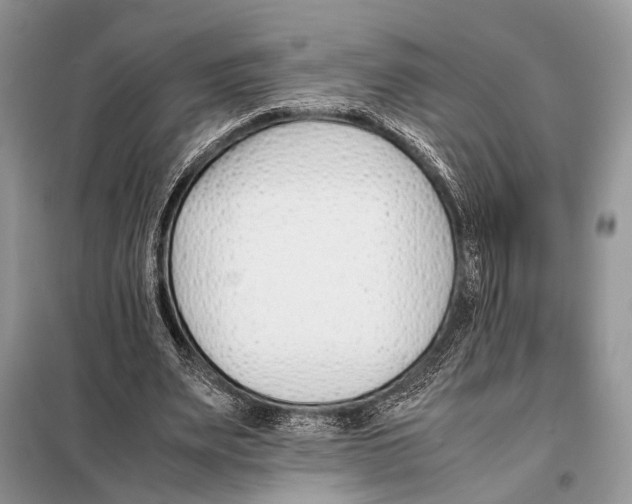 X0000098080487200805021025
