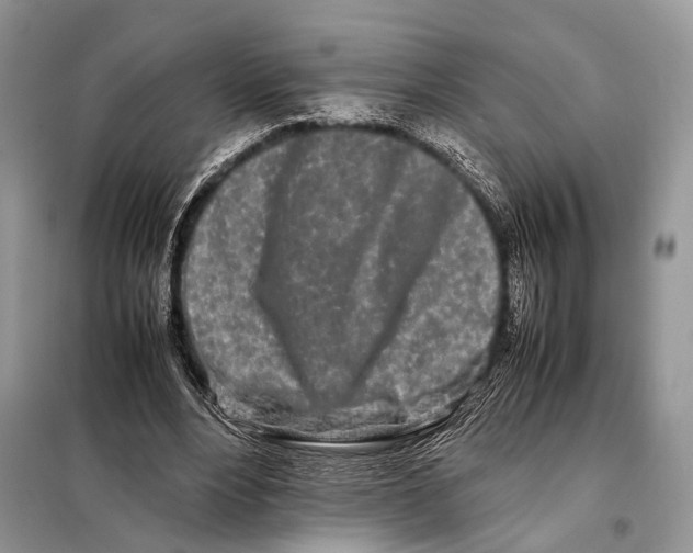 X0000098080488200805021025