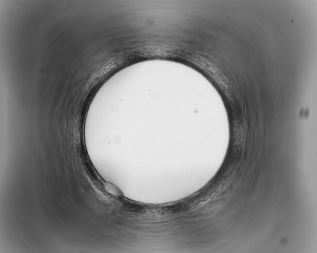 X0000098080489200805021025