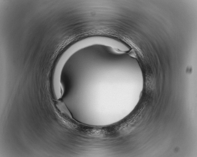 X0000098080493200805021025