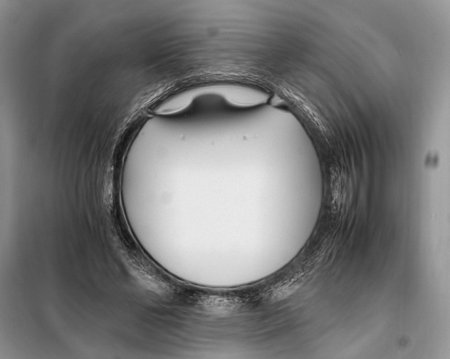 X0000098080494200805021025