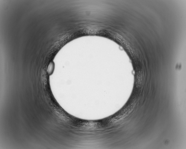 X0000098080497200805021025