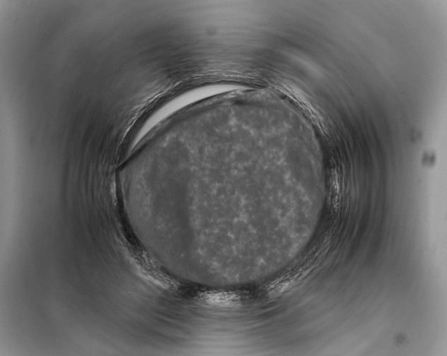 X0000098080500200805021025