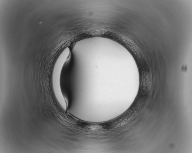 X0000098080501200805021025