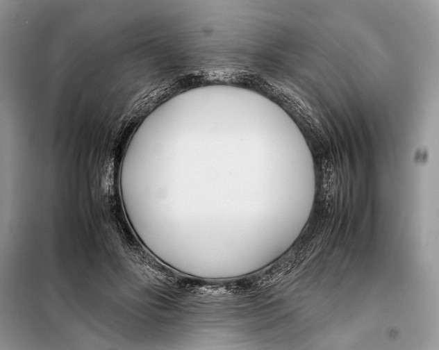 X0000098080502200805021025