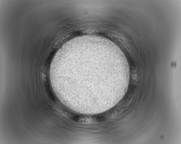 X0000098080503200805021025