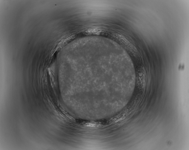 X0000098080504200805021025