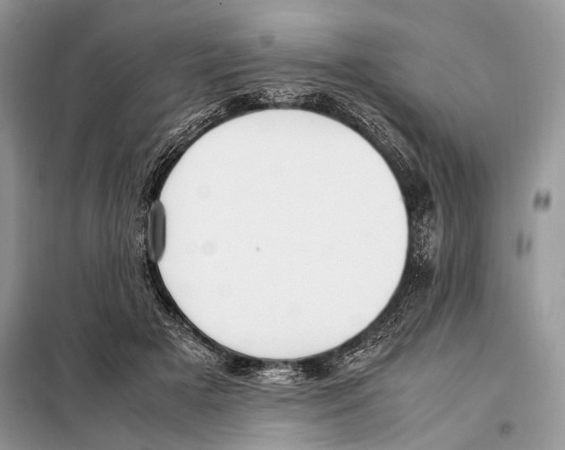 X0000098080505200805021025