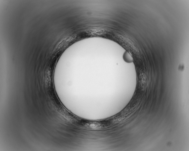 X0000098080506200805021025