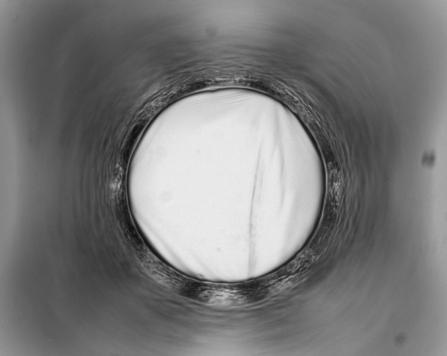 X0000098080507200805021025