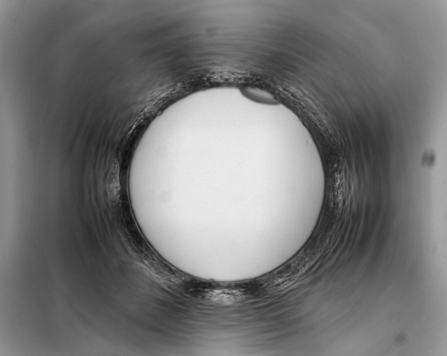 X0000098080508200805021025