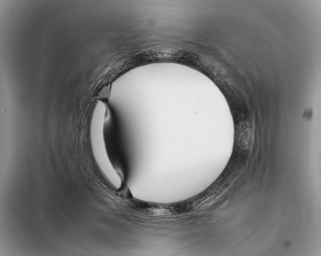 X0000098080509200805021025